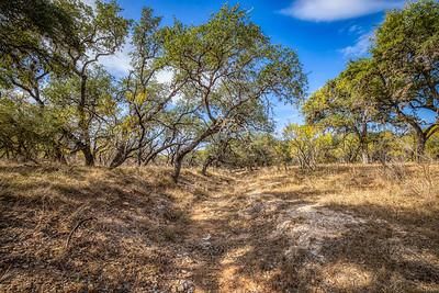 Farm and Ranch in Bandera County, Texas