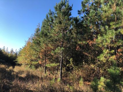 Farm and Ranch in Nevada County, Arkansas