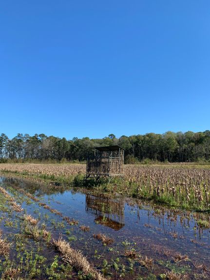 Commercial Property in Lee County, South Carolina