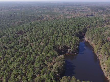 Timberland Property in Perry County, Mississippi