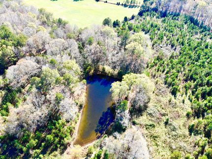 Timberland Property in Polk County, Georgia