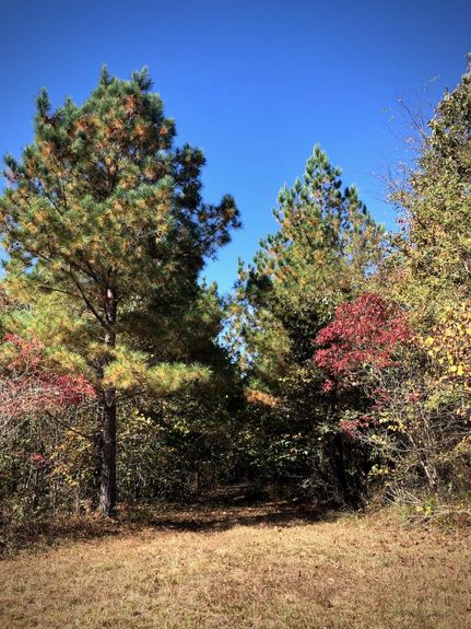 Land in Stewart County, Tennessee