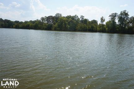 Timberland Property in Marengo County, Alabama
