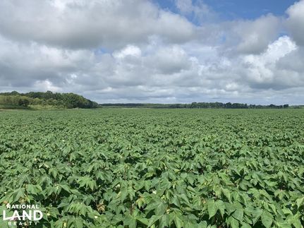 Farm and Ranch in Catahoula Parish, Louisiana