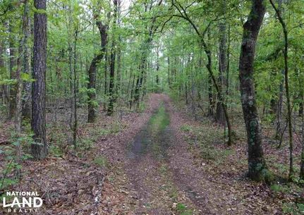 Farm and Ranch in Shelby County, Alabama