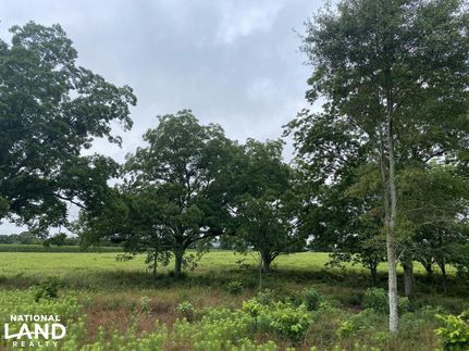 Farm and Ranch in Coffee County, Alabama