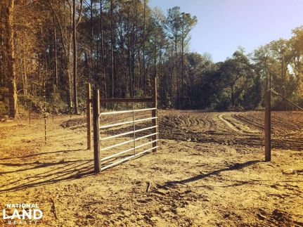 Farm and Ranch in Beaufort County, South Carolina