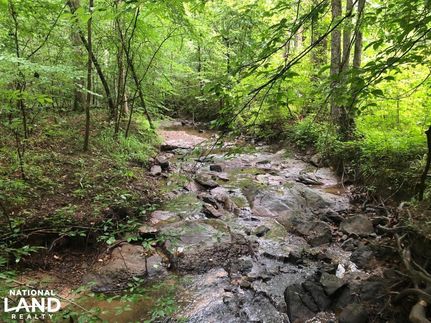 Farm and Ranch in Shelby County, Alabama
