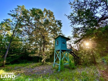 Timberland Property in Baldwin County, Alabama