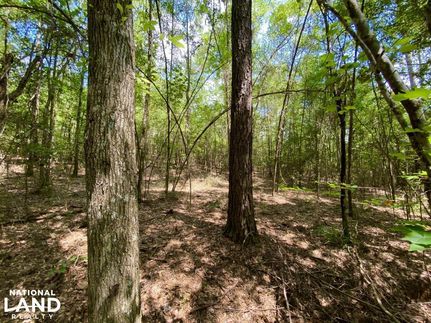Land in Conecuh County, Alabama