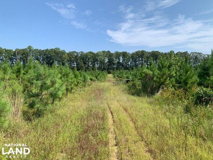 Timberland Property in Oktibbeha County, Mississippi