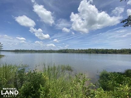Undeveloped Land in Hale County, Alabama