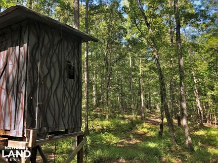 Land in Tuscaloosa County, Alabama