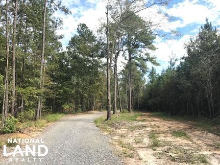 Farm and Ranch in Berkeley County, South Carolina