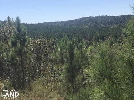 Land in Clay County, Mississippi