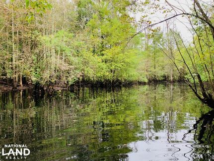 Hunting Property in Robeson County, North Carolina