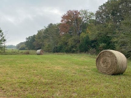 Farm and Ranch in Red River County, Texas