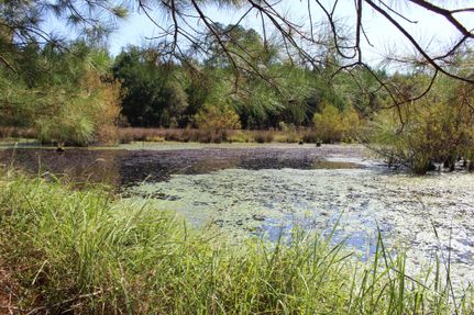 Recreational Property in McDuffie County, Georgia