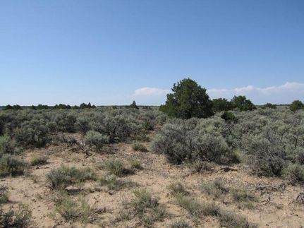 Farm and Ranch in Costilla County, Colorado