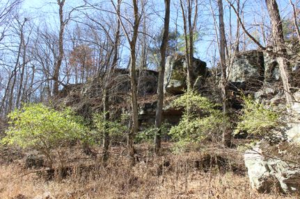 Recreational Property in Johnson County, Illinois