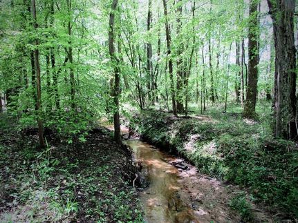 Farm and Ranch in Chester County, South Carolina