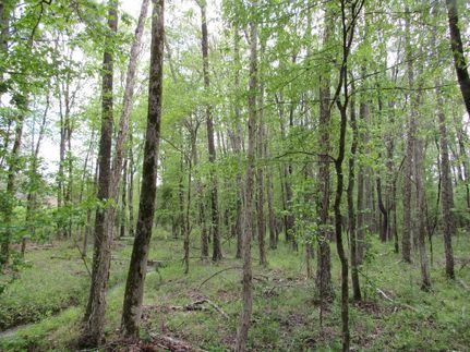 Undeveloped Land in Chester County, South Carolina
