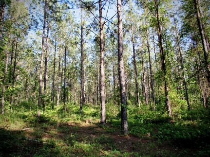 Farm and Ranch in Greenwood County, South Carolina