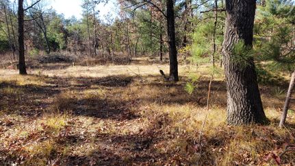 Timberland Property in Juneau County, Wisconsin