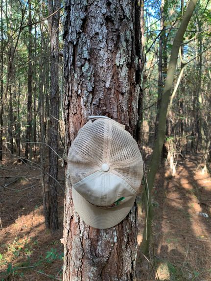 Farm and Ranch in Etowah County, Alabama