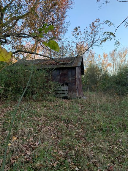 Undeveloped Land in DeKalb County, Alabama