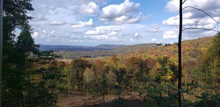 Farm and Ranch in Overton County, Tennessee