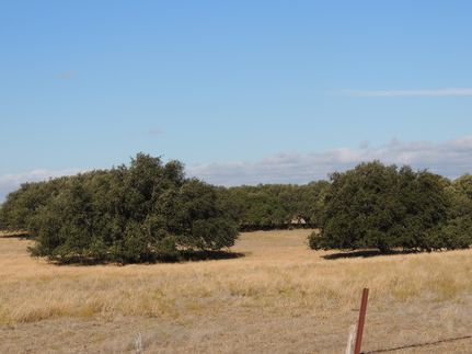 Timberland Property in McCulloch County, Texas