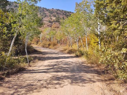 Timberland Property in Duchesne County, Utah