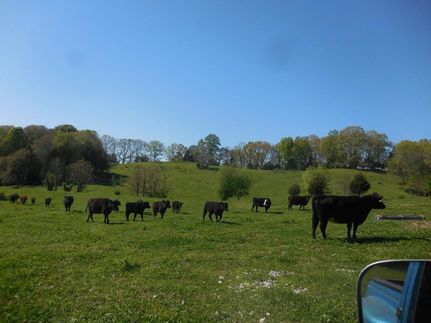 Hunting Property in Clay County, Tennessee