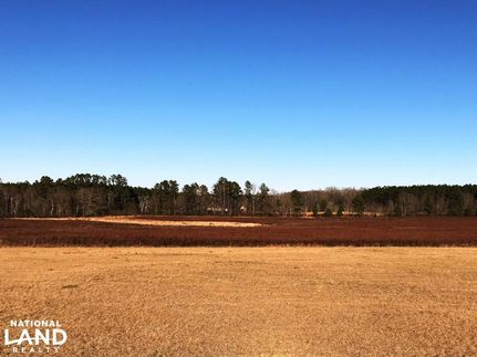 Farm and Ranch in Copiah County, Mississippi