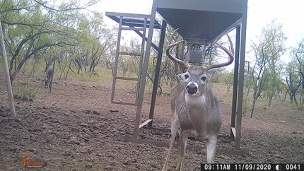 Recreational Property in Taylor County, Texas
