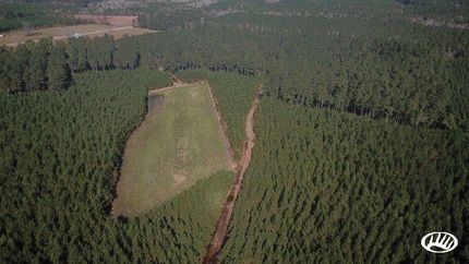 Land in Greene County, North Carolina