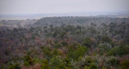 Commercial Property in Caddo County, Oklahoma