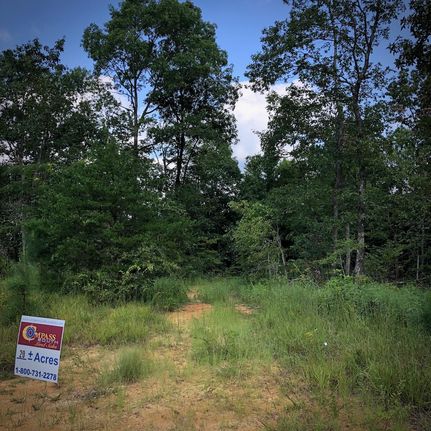 Undeveloped Land in Stewart County, Tennessee