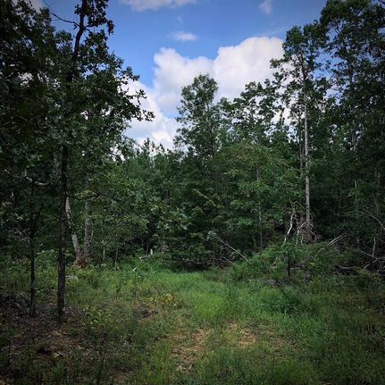 Undeveloped Land in Stewart County, Tennessee