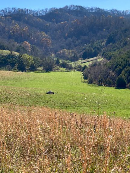 Undeveloped Land in Grainger County, Tennessee