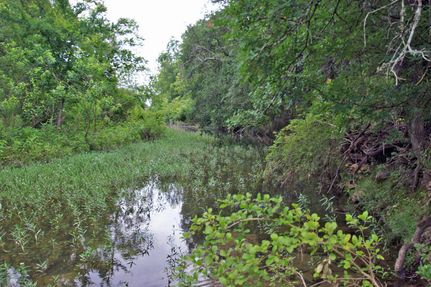 Horse Property in Williamson County, Texas