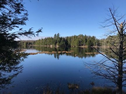 Undeveloped Land in Lewis County, New York