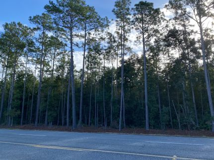 Farm and Ranch for sale in Glynn County, Georgia