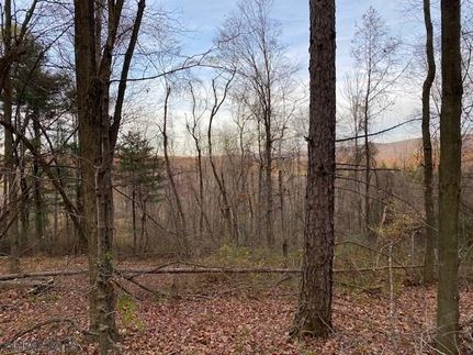 Recreational Property in Blair County, Pennsylvania