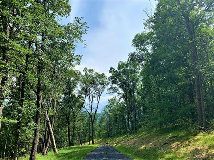 Undeveloped Land in Greenbrier County, West Virginia