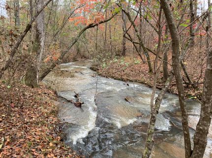 Timberland Property in Harris County, Georgia