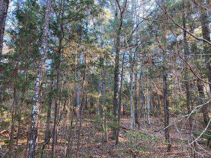 Land in Lexington County, South Carolina