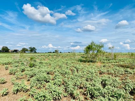 Farm and Ranch in Wilson County, Texas