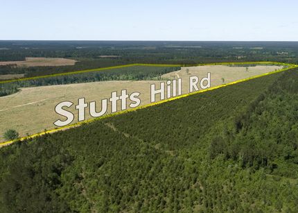 Timberland Property in Polk County, Texas